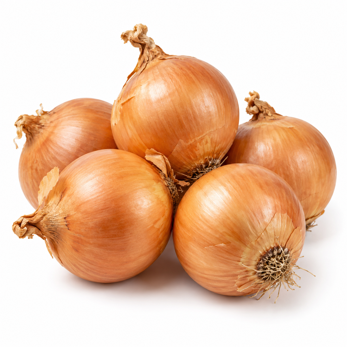 Brown Onion 1kg