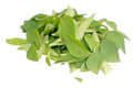 Fresh curry leaves