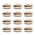Kauda Kaudi Cowrie Shells – 10 Piece Pack