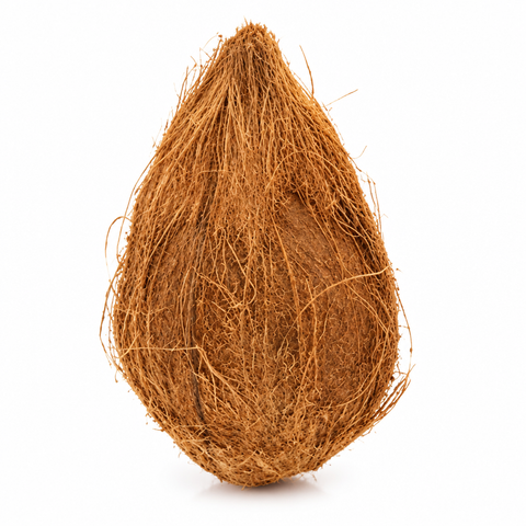 FRESH COCONUT For Religious Purpose