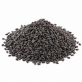 Tukmaria 100g Utm — AI-generated representative contents image; packaging may vary