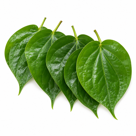 Fresh Betel Leaves