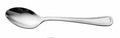 SAFARI SPOON 6PC SET