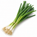 Spring Onion Bunch