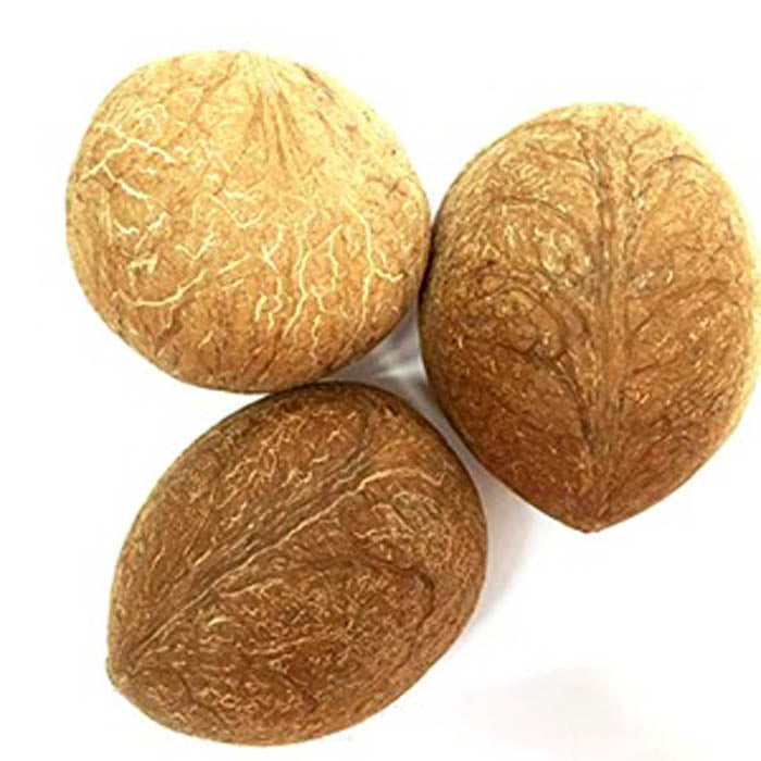 Dry Coconut 1pcs