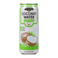 Clover Valley Coconut Water with Pulp 490ml